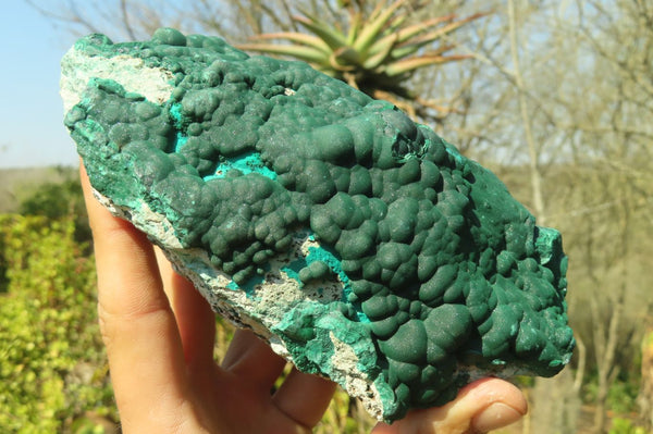 Natural Botryoidal Malachite Specimens  x 2 From Congo