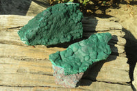 Natural Botryoidal Malachite Specimens  x 2 From Congo