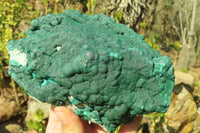 Natural Botryoidal Malachite Specimens  x 2 From Congo