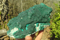 Natural Botryoidal Malachite Specimens  x 2 From Congo