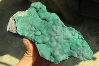 Natural Botryoidal Malachite Specimens  x 2 From Congo