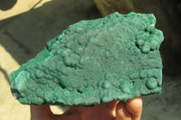 Natural Botryoidal Malachite Specimens  x 2 From Congo