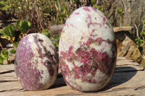 Polished Rubellite Pink Tourmaline Standing Free Forms x 2 From Madagascar