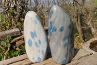 Polished Blue Spotted Spinel Quartz Standing Free Forms x 2 From Madagascar