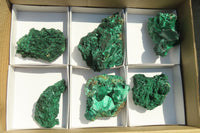 Natural Chatoyant Silky Malachite Specimens  x 6 From Kasompe, Congo