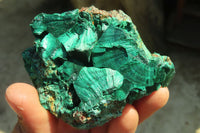 Natural Chatoyant Silky Malachite Specimens  x 6 From Kasompe, Congo