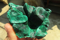 Natural Chatoyant Silky Malachite Specimens  x 6 From Kasompe, Congo