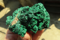 Natural Chatoyant Silky Malachite Specimens  x 6 From Kasompe, Congo