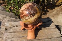 Polished Petrified Wood Sphere  x 1 From Mahajanga, Madagascar