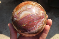 Polished Petrified Wood Sphere  x 1 From Mahajanga, Madagascar