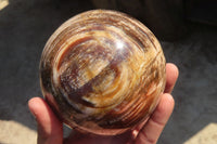 Polished Petrified Wood Sphere  x 1 From Mahajanga, Madagascar