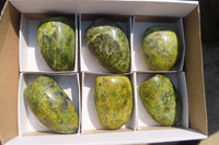 Polished Green Opal Standing Free Forms  x 6 From Madagascar