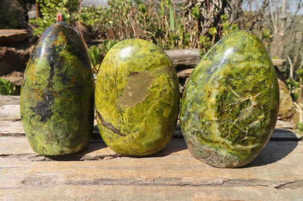 Polished Green Opal Standing Free Forms  x 6 From Madagascar