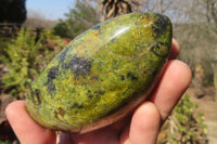 Polished Green Opal Standing Free Forms  x 6 From Madagascar