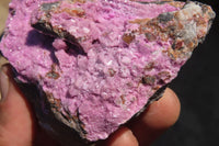 Natural Pink Salrose Cobaltion Dolomite Specimens x 4 From Kakanda, Congo