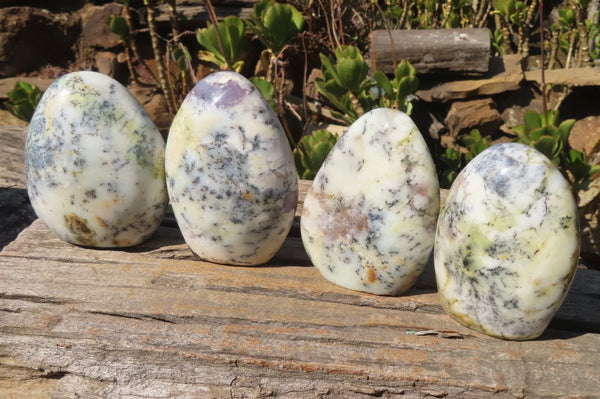 Polished White Dendritic Agate Standing Free Forms  x 4 From Madagascar