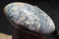 Polished White Dendritic Agate Standing Free Forms  x 4 From Madagascar