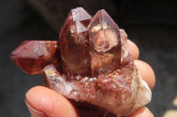 Natural Red Hematite Quartz Specimens  x 24 From Karoi, Zimbabwe