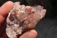 Natural Red Hematite Quartz Specimens  x 24 From Karoi, Zimbabwe