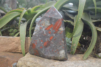 Polished Extra Large Blood Stone Point With Pyrite  x 1 From Swaziland