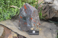 Polished Extra Large Blood Stone Point With Pyrite  x 1 From Swaziland