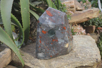 Polished Extra Large Blood Stone Point With Pyrite  x 1 From Swaziland