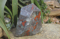 Polished Extra Large Blood Stone Point With Pyrite  x 1 From Swaziland