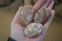 Polished Ocean Flower Agate Gallets  x 12 From Antsahalova, Madagascar