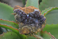 Natural Dark Amethyst Crystal Plates x 6 From Kwaggafontein, South Africa