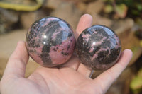 Polished Rhodonite Spheres  x 4 From Ambindavato, Madagascar