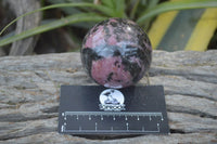 Polished Rhodonite Spheres  x 4 From Ambindavato, Madagascar