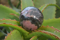 Polished Rhodonite Spheres  x 4 From Ambindavato, Madagascar