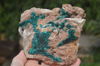 Natural Emerald Dioptase Dolomite Specimen  x 1 From Congo