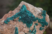 Natural Emerald Dioptase Dolomite Specimen  x 1 From Congo