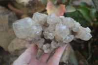 Natural Cascading Smokey Quartz Clusters x 2 From Luena, Congo