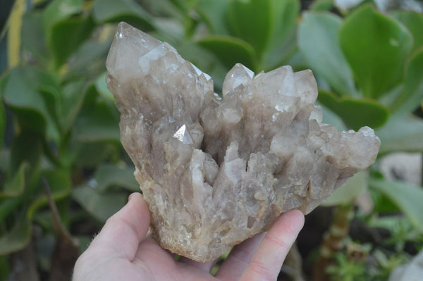 Natural Cascading Smokey Quartz Clusters x 2 From Luena, Congo