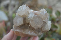 Natural Cascading Smokey Quartz Clusters x 2 From Luena, Congo