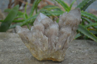 Natural Cascading Smokey Quartz Clusters x 2 From Luena, Congo