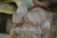 Natural Cascading Smokey Quartz Clusters x 2 From Luena, Congo