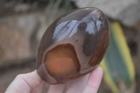 Polished Polychrome Jasper Standing Free Forms  x 3 From Madagascar