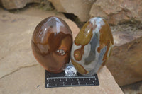 Polished Polychrome Jasper Standing Free Forms  x 3 From Madagascar