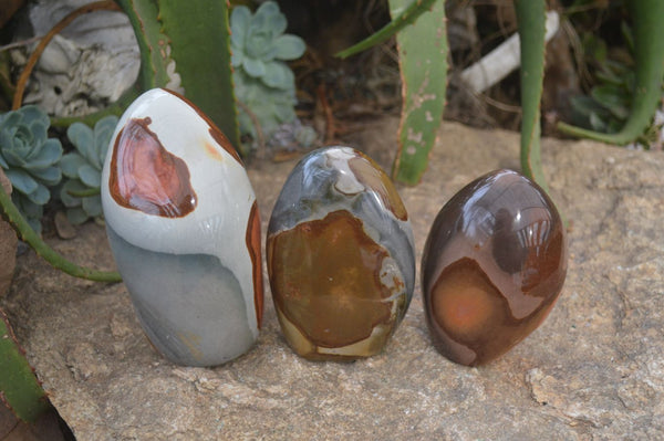 Polished Polychrome Jasper Standing Free Forms  x 3 From Madagascar