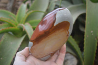 Polished Polychrome Jasper Standing Free Forms  x 3 From Madagascar