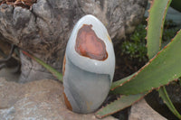 Polished Polychrome Jasper Standing Free Forms  x 3 From Madagascar