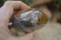 Polished Polychrome Jasper Standing Free Forms  x 3 From Madagascar