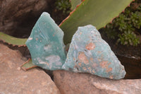 Polished One Side Polished Emerald Mtorolite Plates  x 12 From Mutorashanga, Zimbabwe