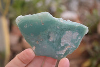 Polished One Side Polished Emerald Mtorolite Plates  x 12 From Mutorashanga, Zimbabwe