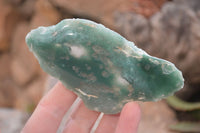 Polished One Side Polished Emerald Mtorolite Plates  x 12 From Mutorashanga, Zimbabwe