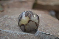 Polished Septaria Galet / Palm Stones x 12 From Madagascar