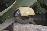 Polished Septaria Galet / Palm Stones x 12 From Madagascar